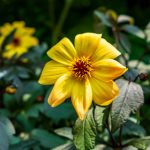 欧美高清vivoe巨大 sr679b